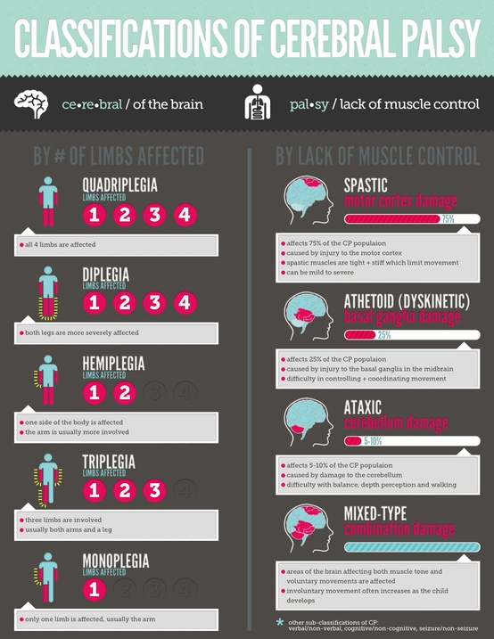 Top 5 Cerebral Palsy Infographics