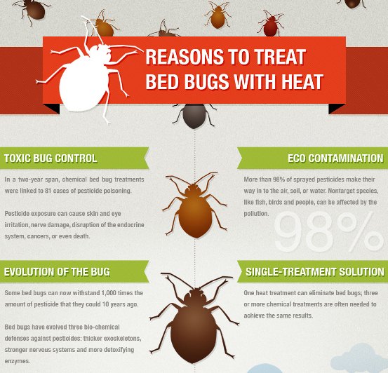Reasons to Treat Bed Bugs with Heat (Infographic)