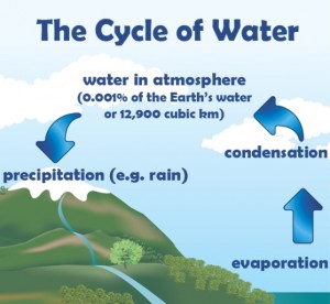 The Cycle of Water (Infographic) | Infographics Zone| Submit Infographics