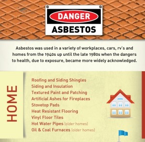 Top 10 Asbestos Infographics | Infographics Zone| Submit Infographics