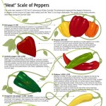 Top 10 Cooking Infographics