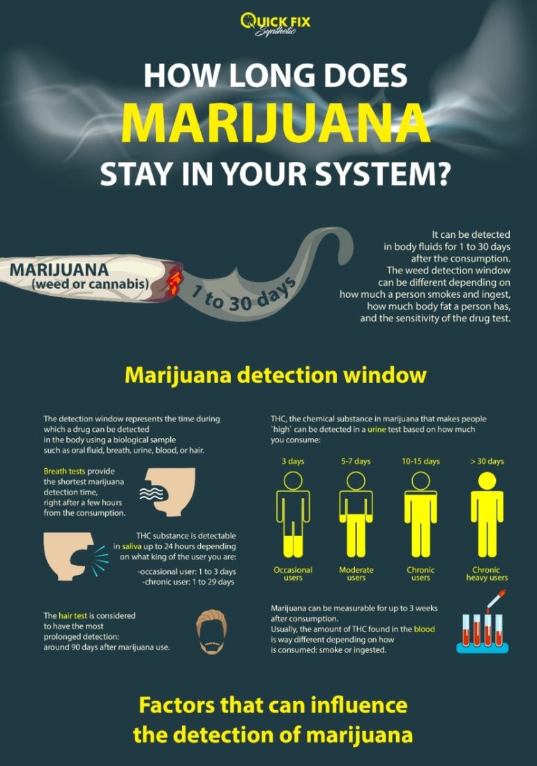 How Long Marijuana Stay In Your System | Infographics Zone| Submit ...